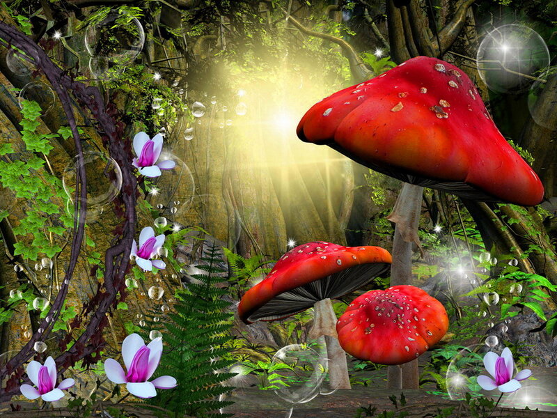 Red Mushrooms in Forest — Magical