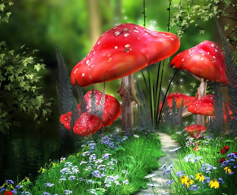Red Mushrooms in Forest — Serene, Afternoon