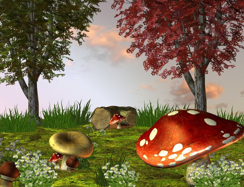 Red Mushrooms in Forest — Serene, Sunset