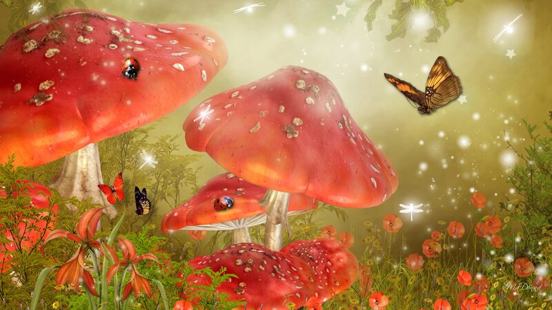 Red Mushrooms in Forest — Whimsical