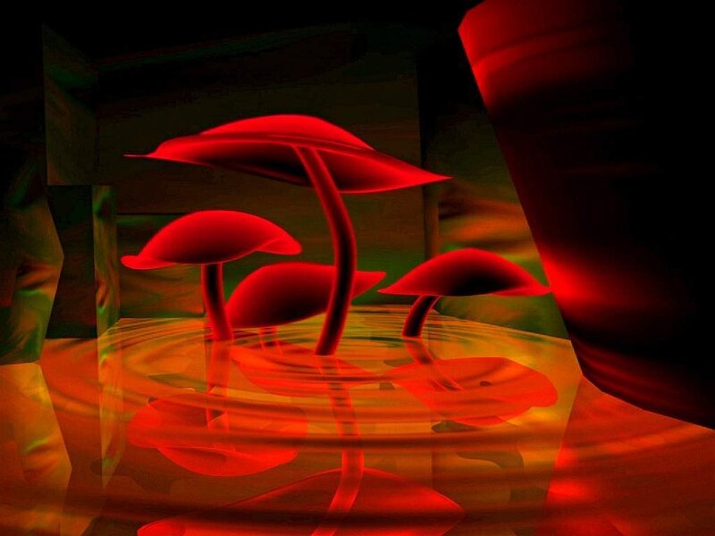 Red mushrooms in glowing liquid