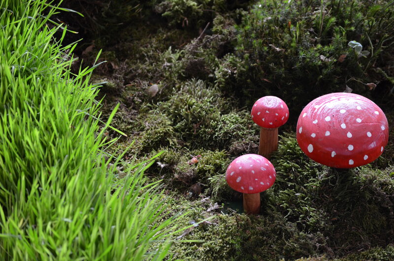 Red Mushrooms in Moss