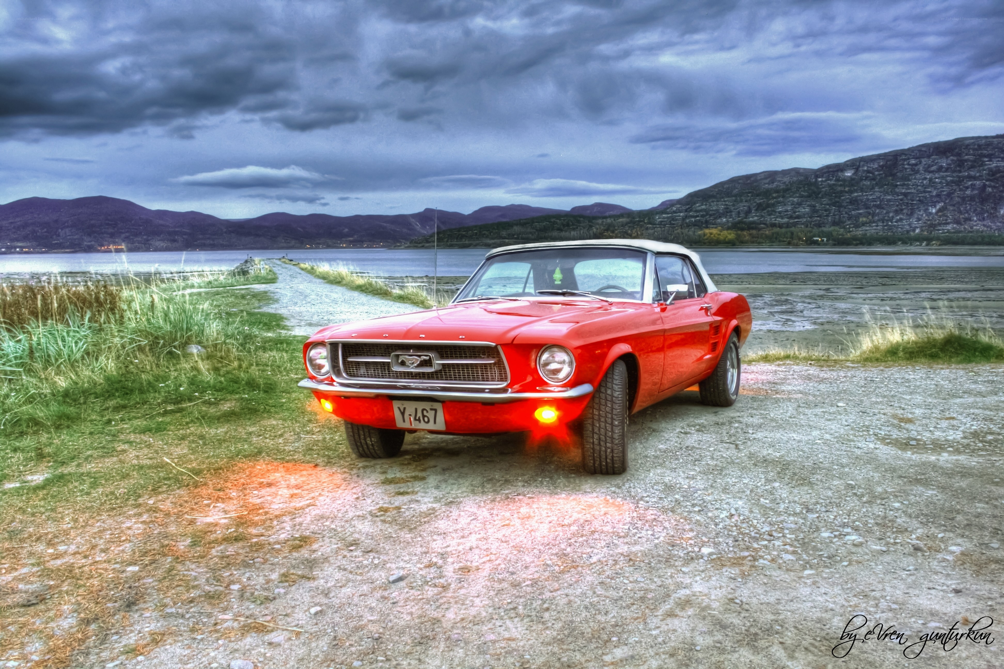 Red Mustang by the water