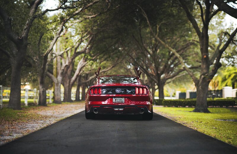 Red Mustang Car — Serene, Afternoon