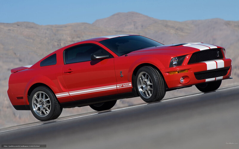 Red Mustang Gt500 — Dynamic, Afternoon