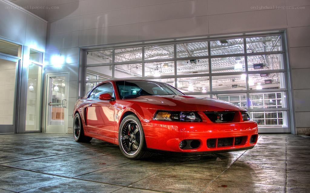 Red Mustang in showroom