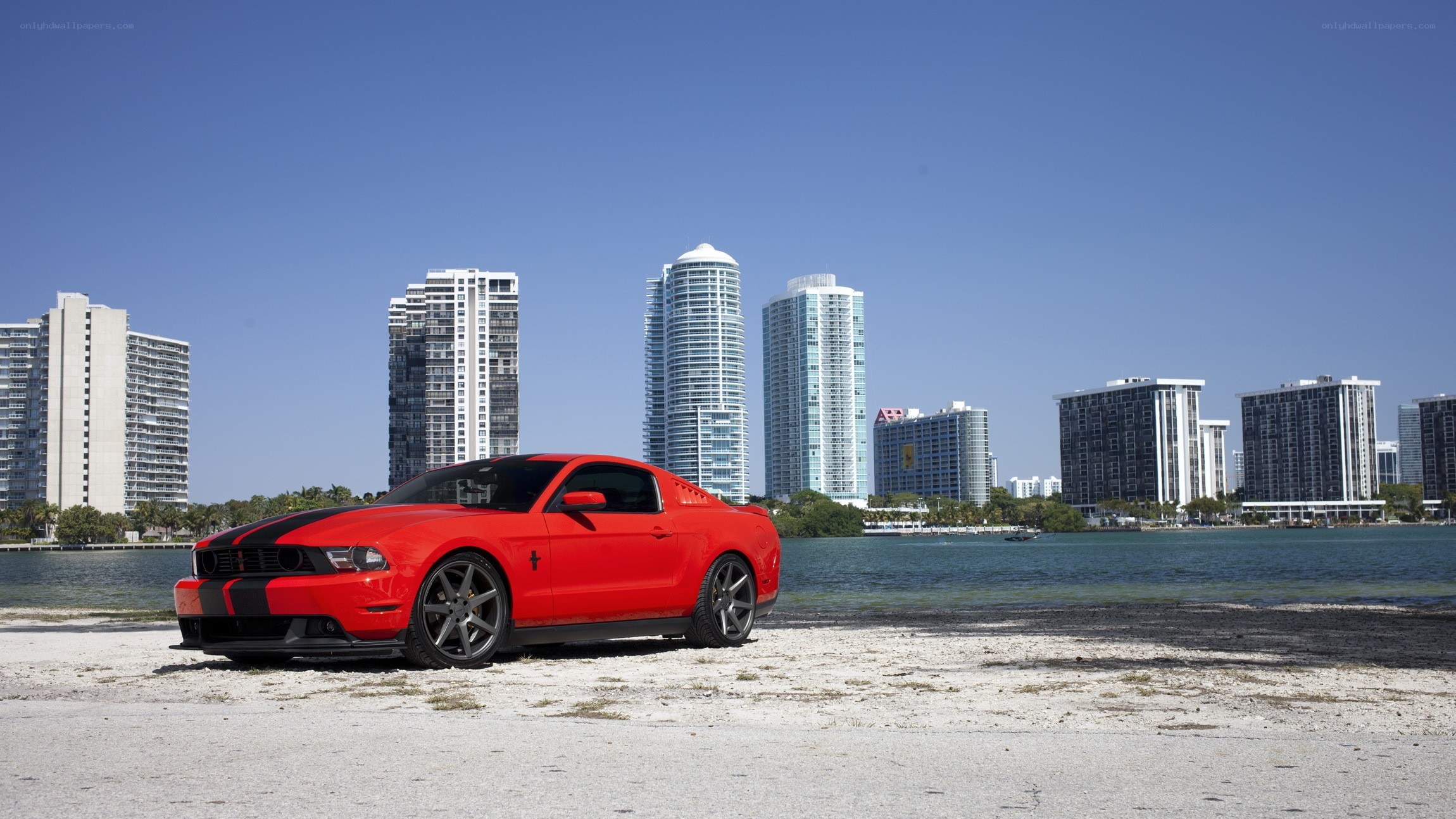 Red Mustang on a beach