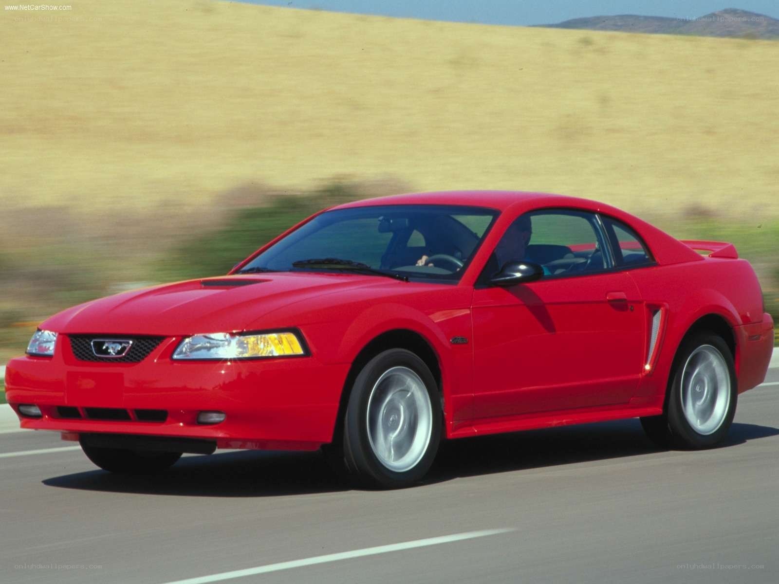 Red Mustang on a road