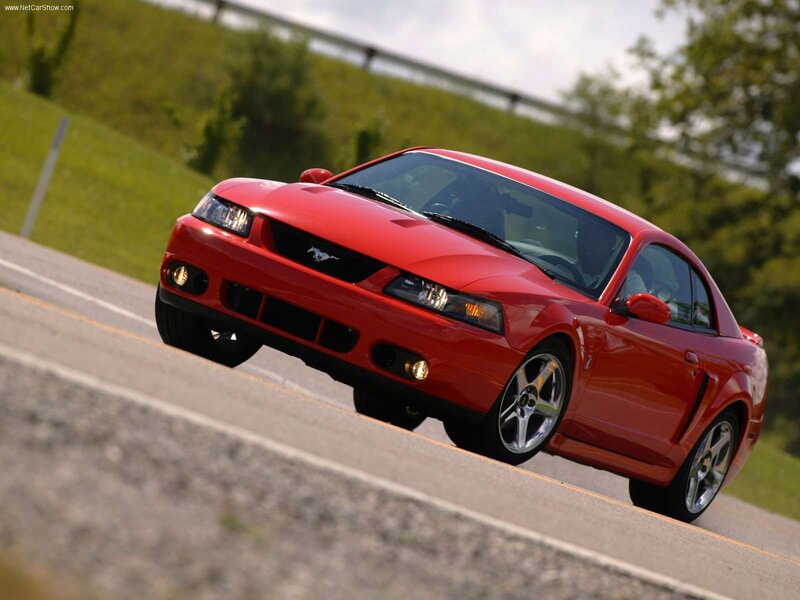 Red Mustang on a winding road