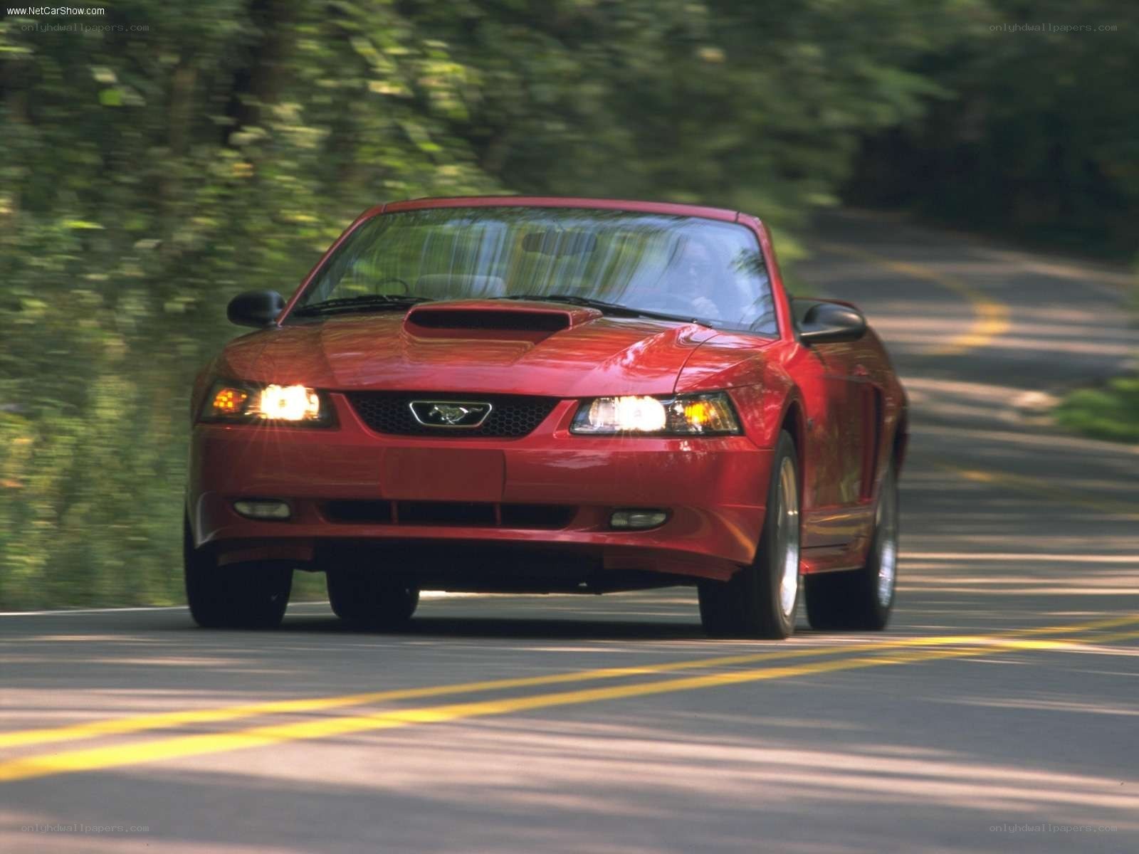 Red Mustang on a winding road