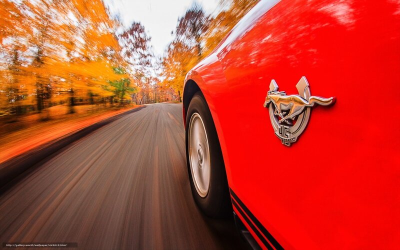 Red Mustang on autumn road