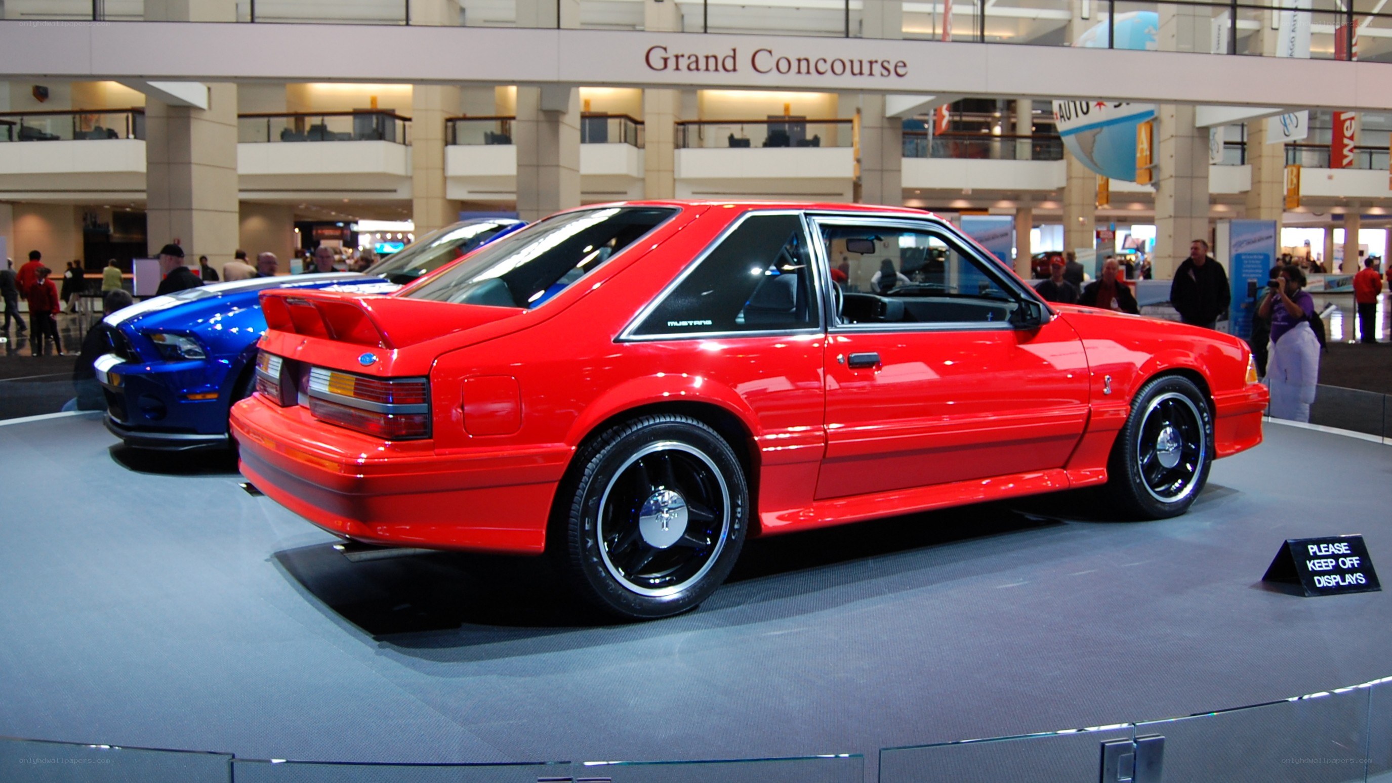 Red Mustang on display