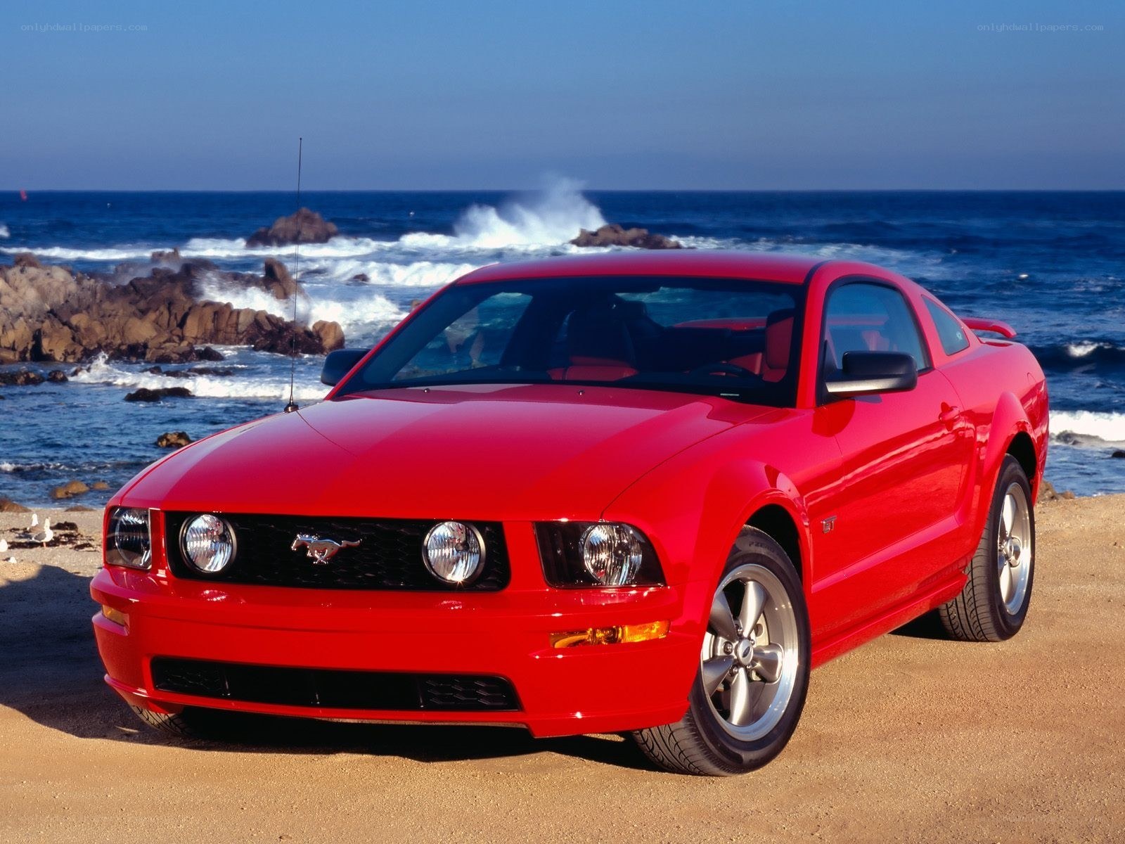 Red Mustang on the beach