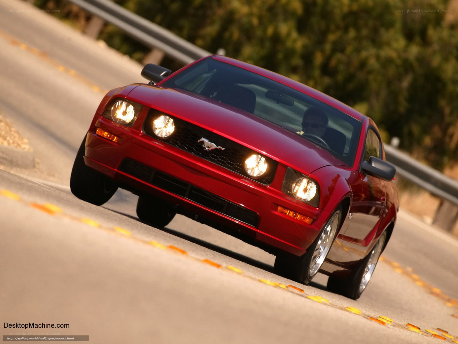 Red Mustang on winding road