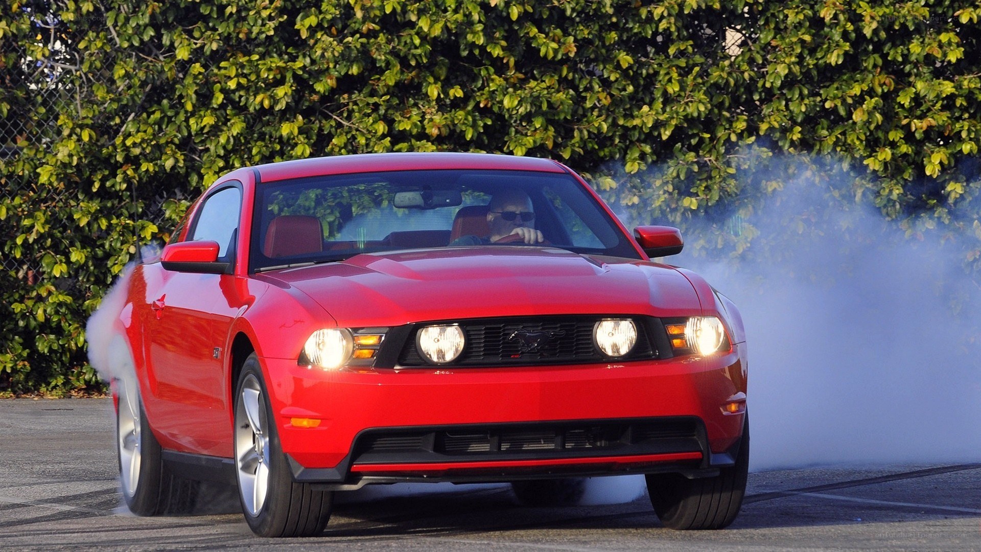 Red Mustang performing burnout