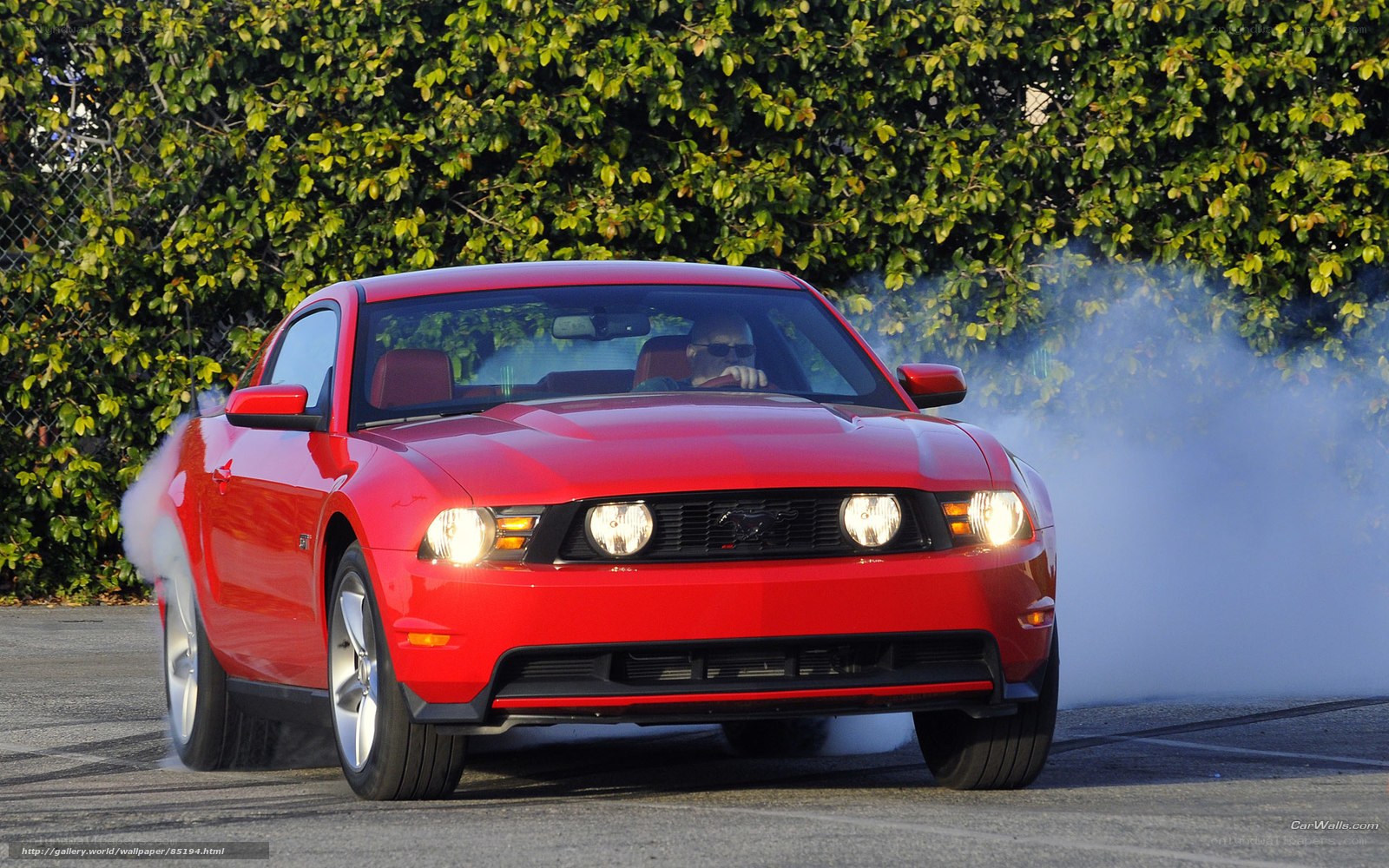 Red Mustang performing burnout