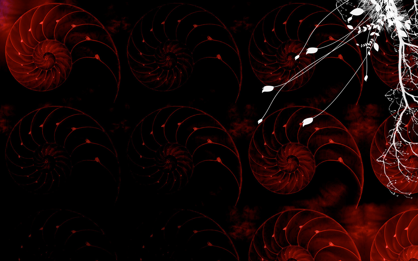 Red nautilus shell pattern