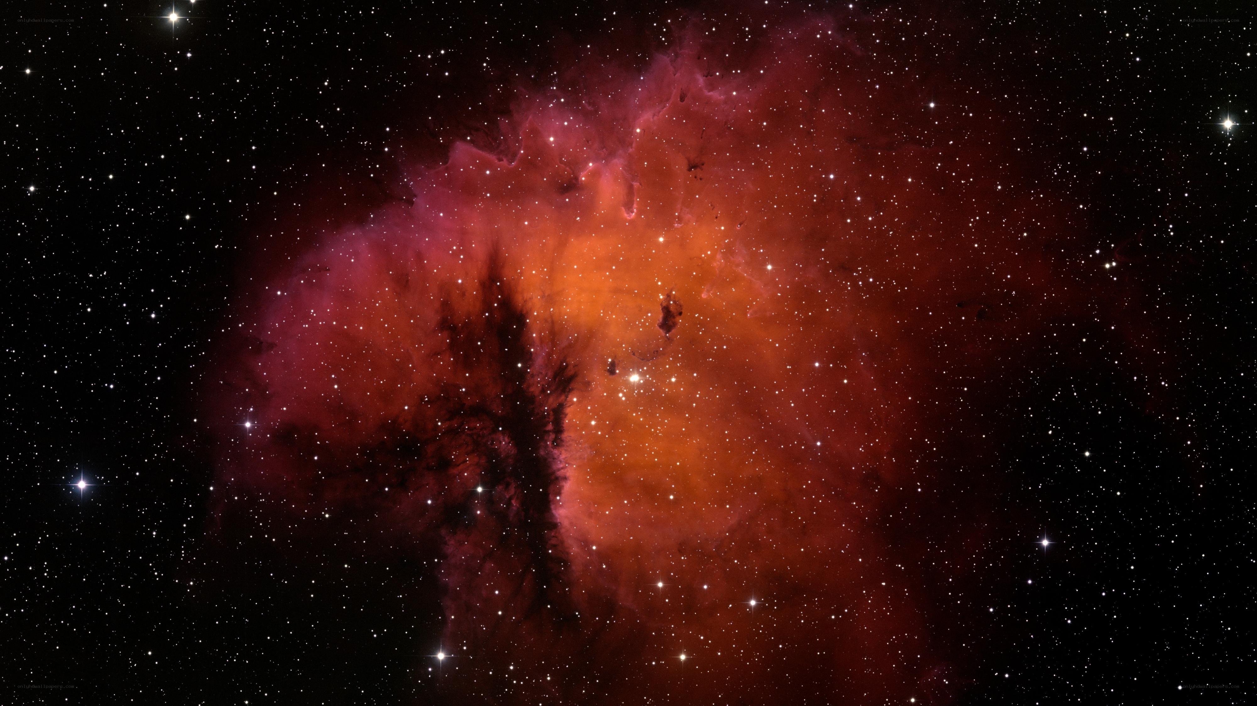 Red Nebula in Space