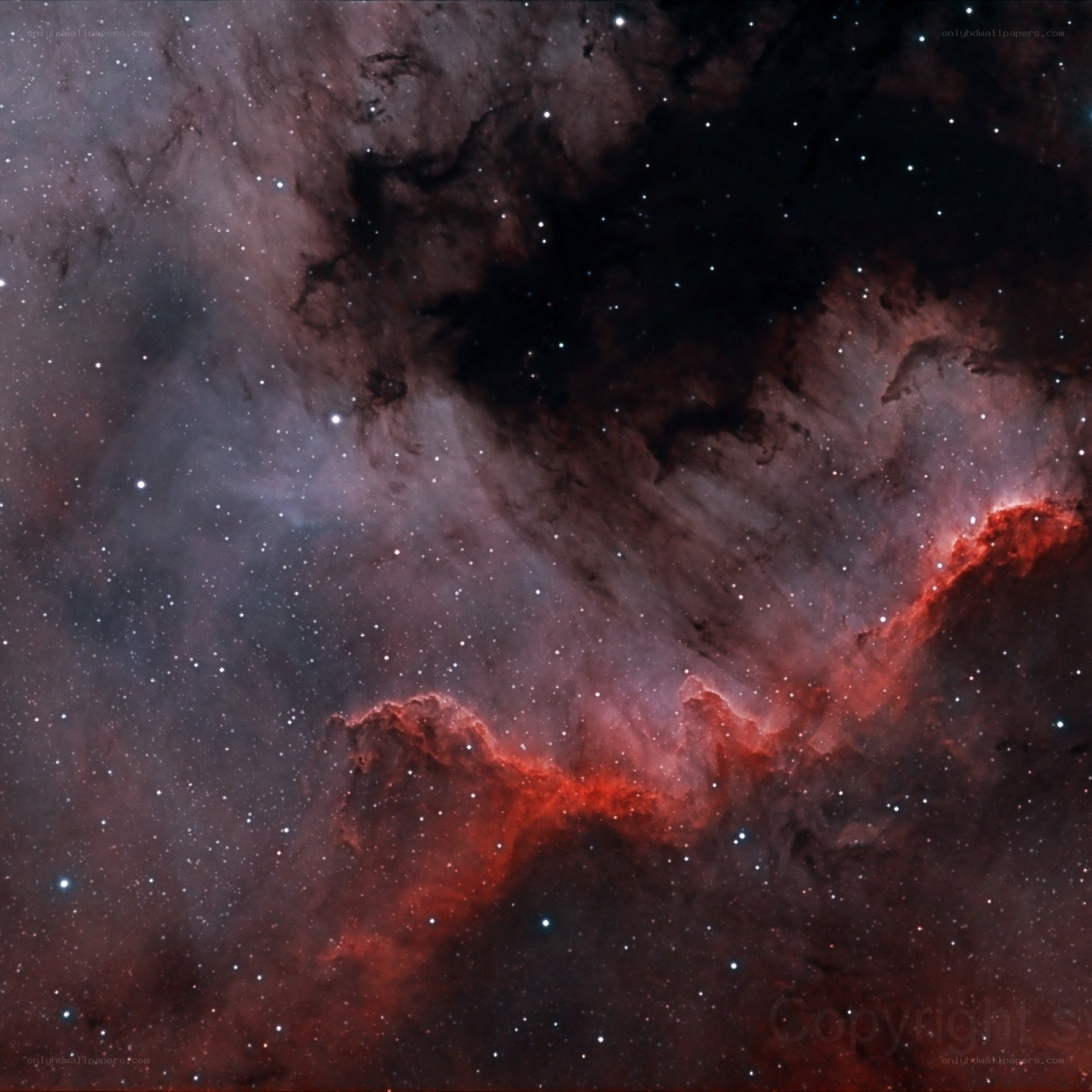Red Nebula in Space