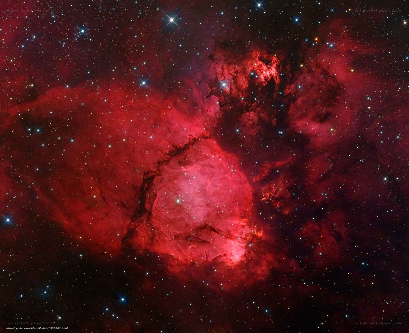 Red Nebula in Space