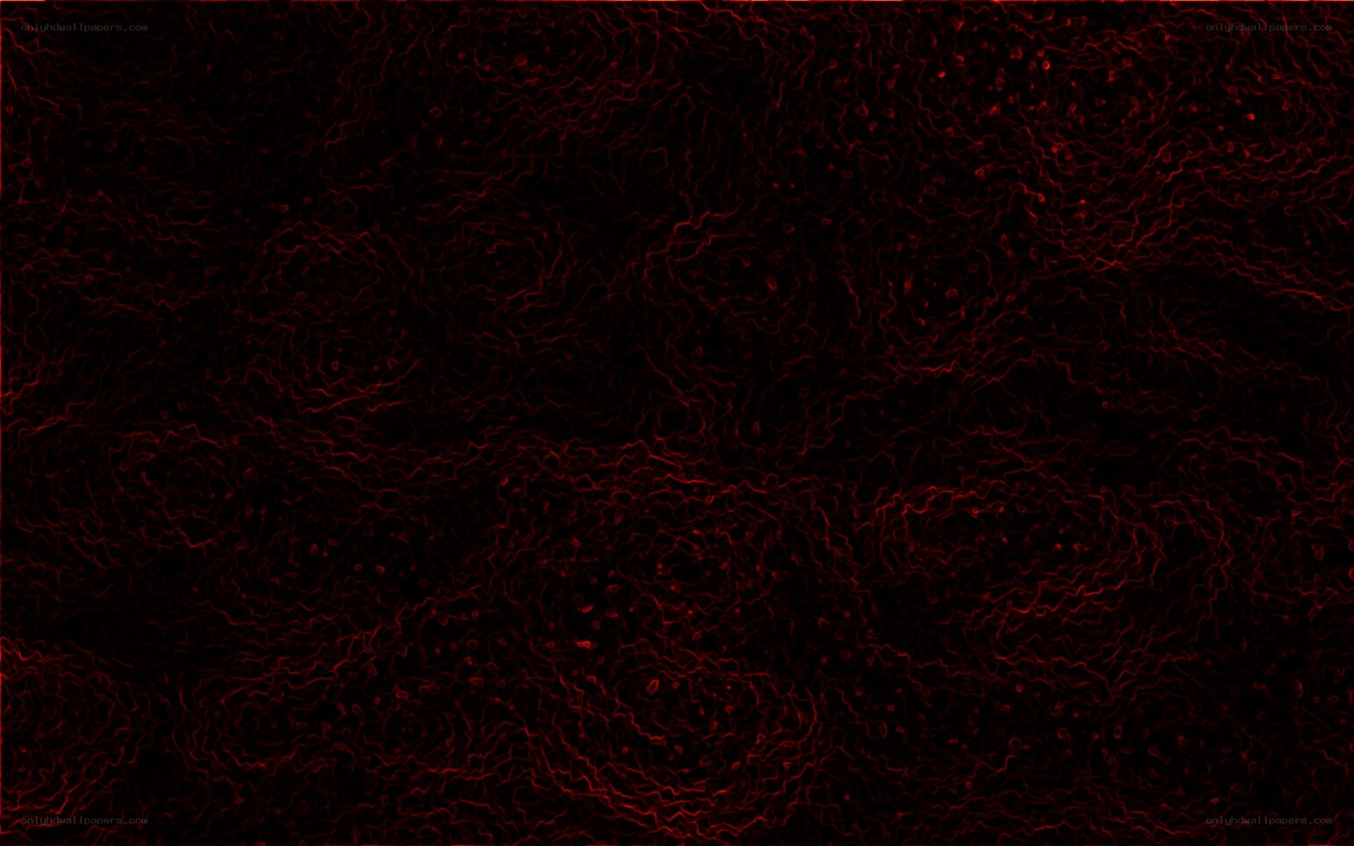 red network pattern on black