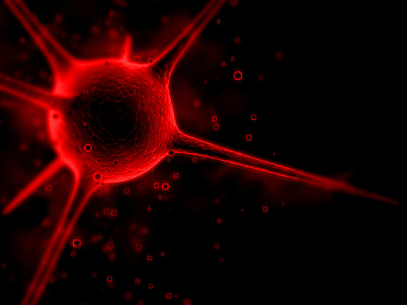 Red neuron cell illustration