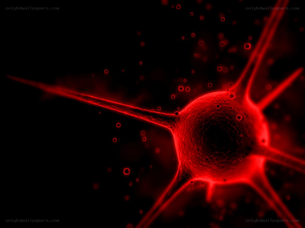 Red neuron cell illustration