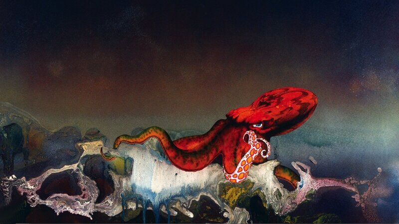 Red octopus on rocky shore