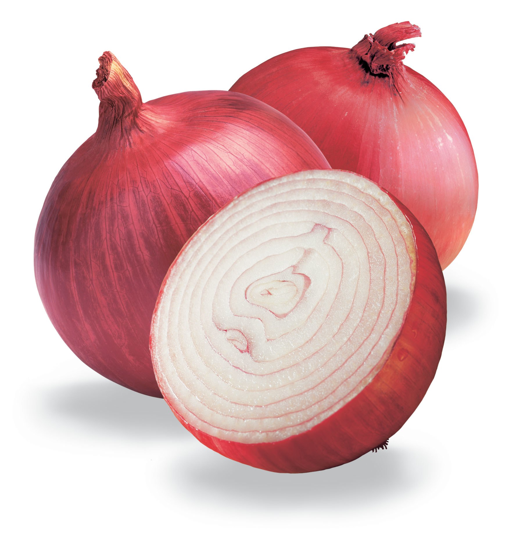 red onions on white background