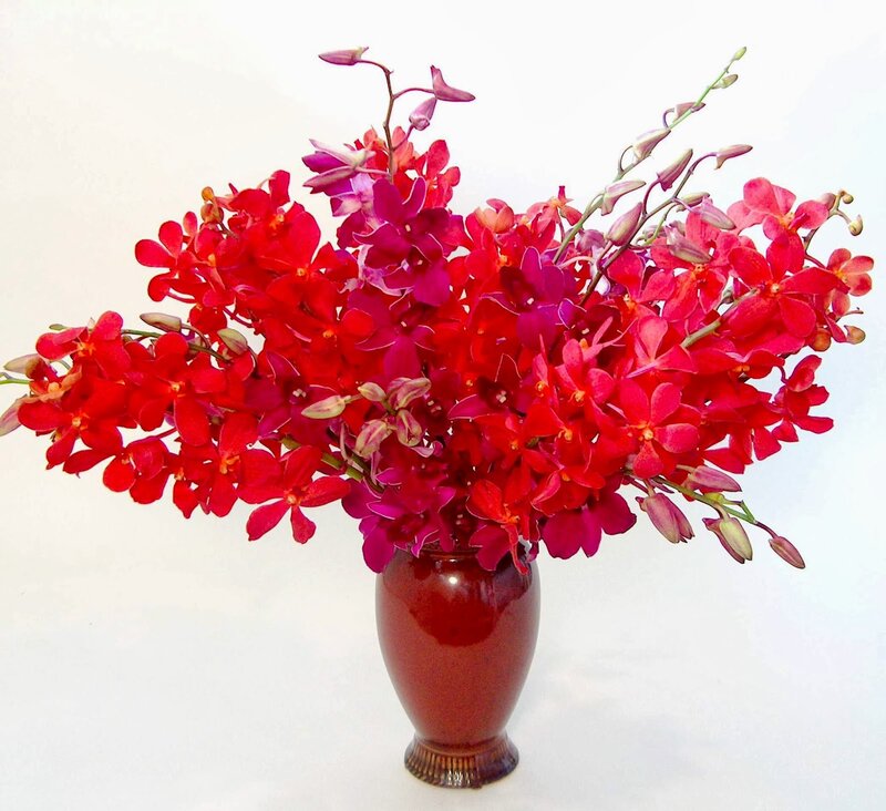 Red Orchid Bouquet — Calm
