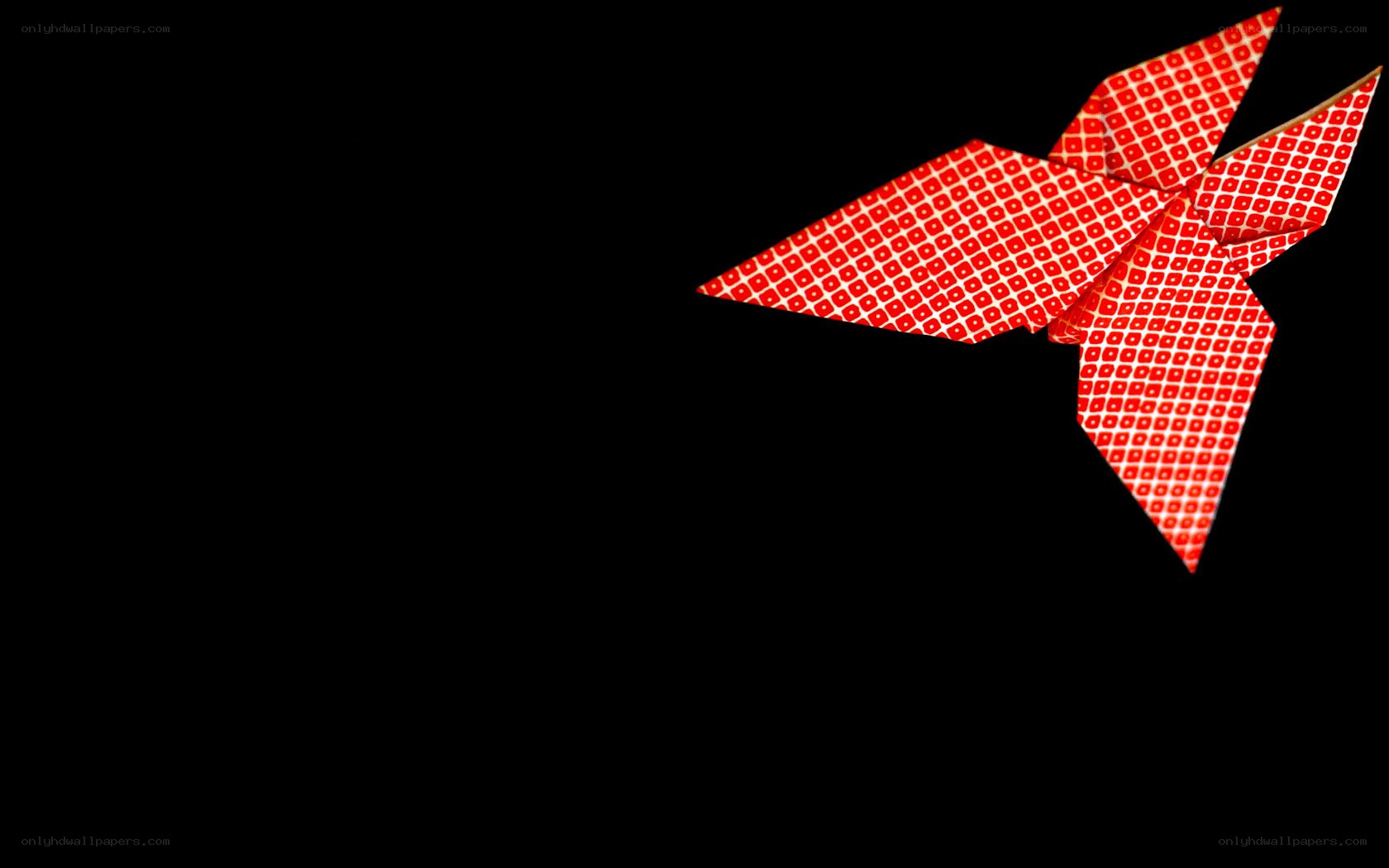 red origami bird on black
