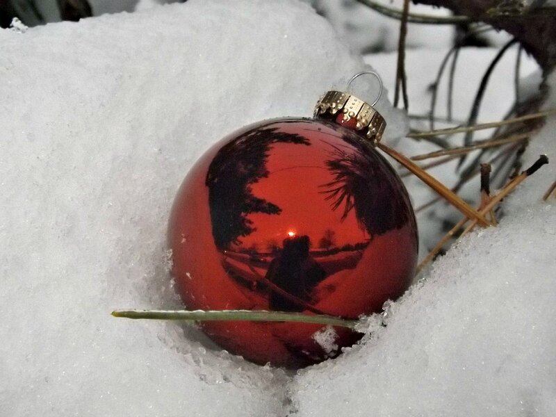 Red Ornament in Snow — Quiet