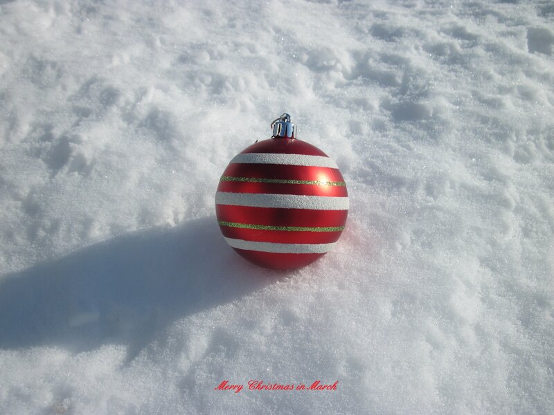 Red Ornament in Snow — Serene
