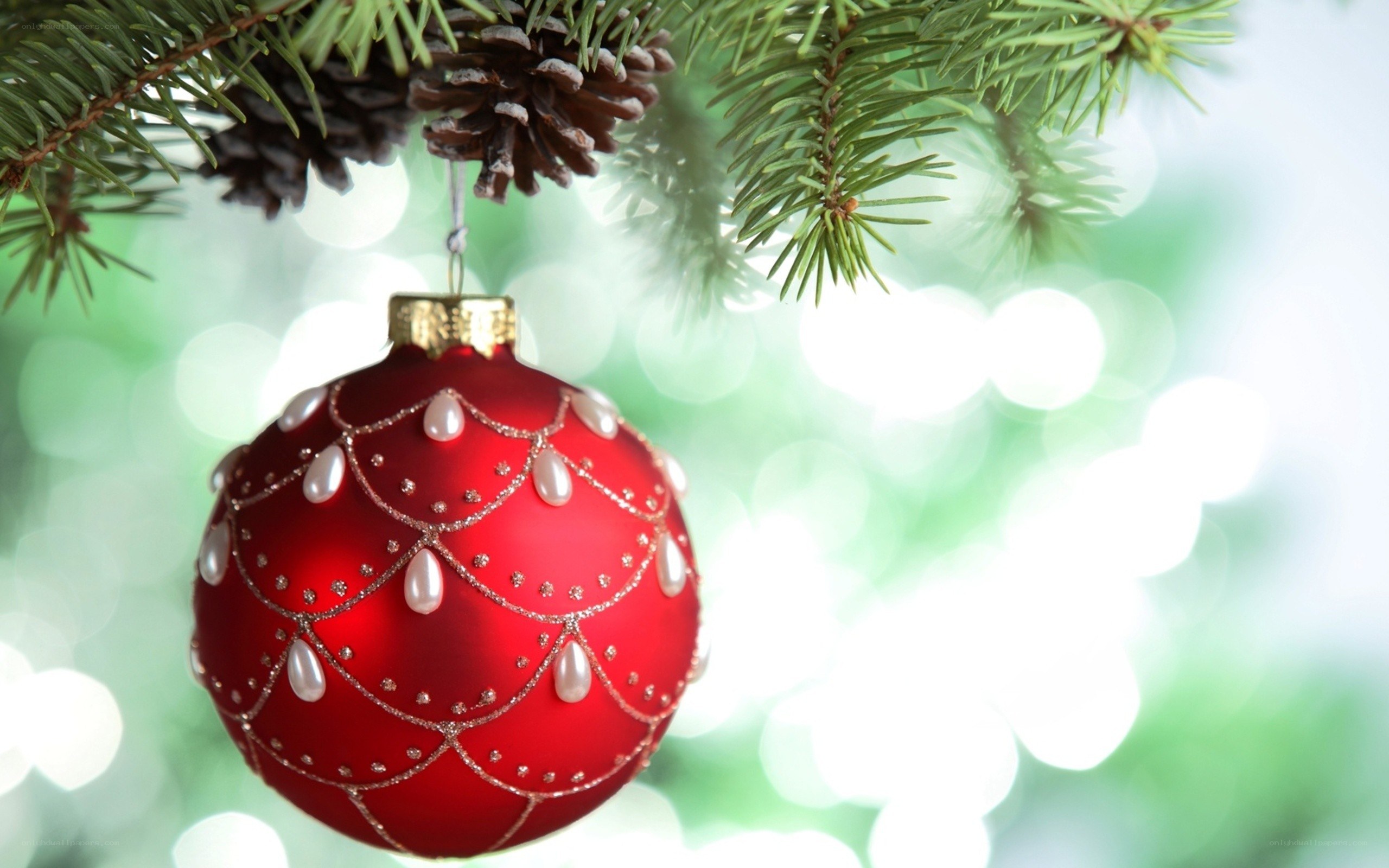 Red ornament on a Christmas tree