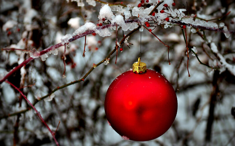 Red Ornament on Branch — Calm, Winter, Photograph