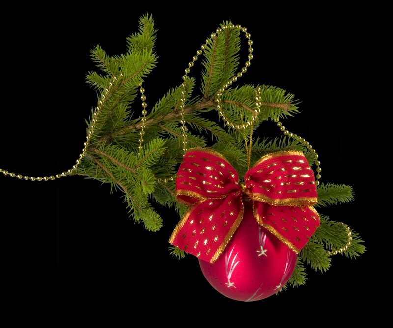 Red Ornament on Branch — Festive, Winter, Photograph, Bow