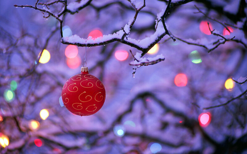 Red Ornament on Branch — Festive, Winter, Photograph, Snow, Lights