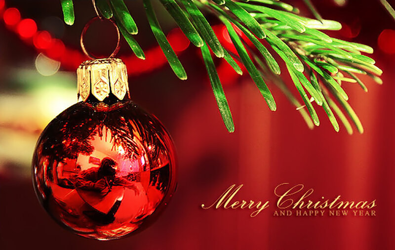 Red Ornament on Branch — Festive, Winter, Photograph
