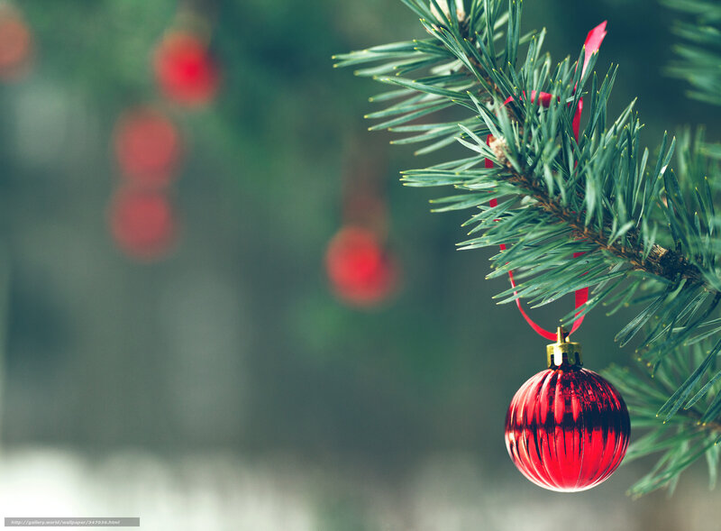 Red Ornament on Branch — Green, Calm