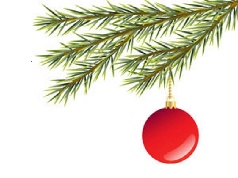 Red Ornament on Branch — Green