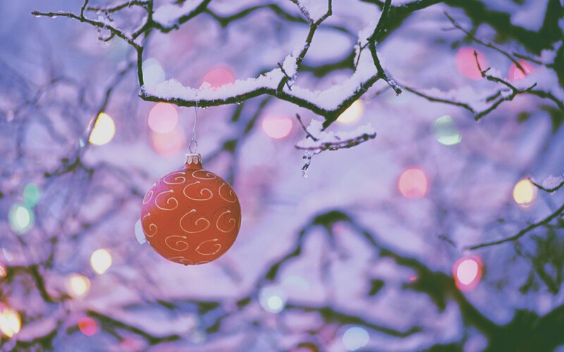 Red Ornament on Branch — Purple