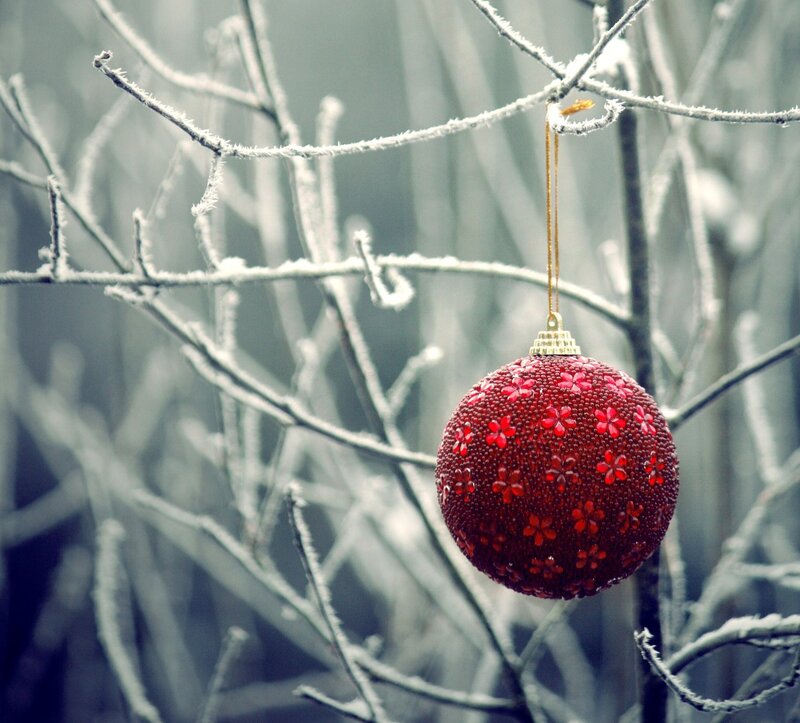 Red Ornament on Branch — Serene