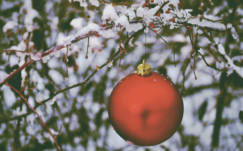 Red Ornament on Branch — Serene, Winter, Photograph, Snow, Berries