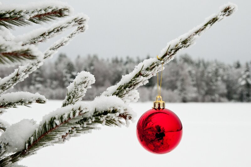 Red Ornament on Branch — Serene, Winter
