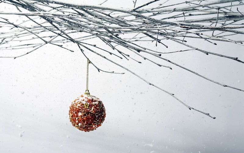Red Ornament on Branch — White, Serene