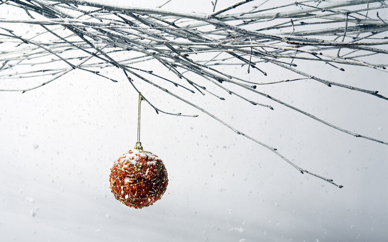 Red Ornament on Branch — White