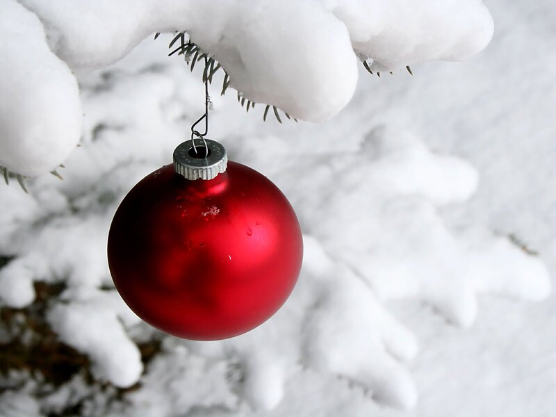 Red Ornament on Branch — Winter