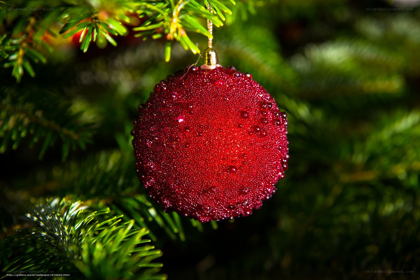 red ornament on christmas tree