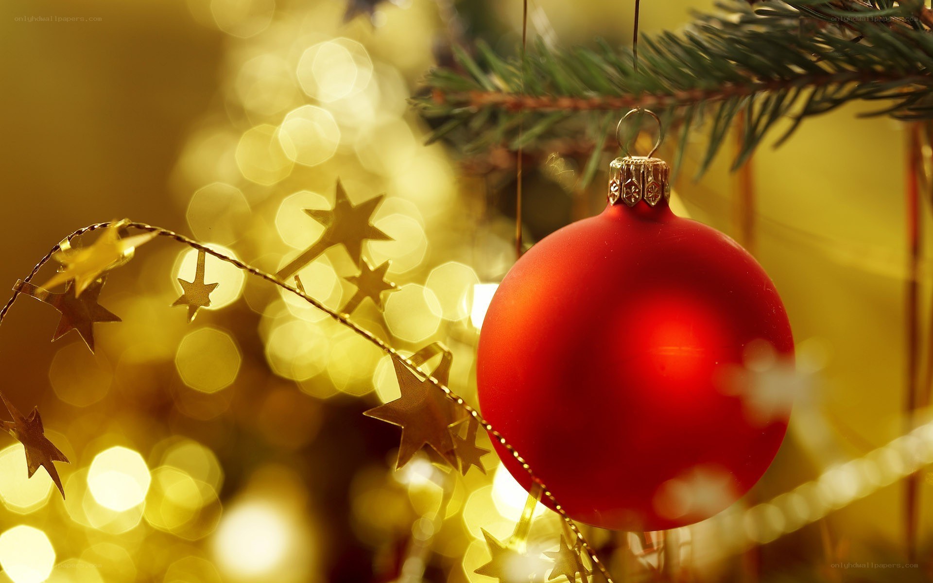 Red ornament on Christmas tree
