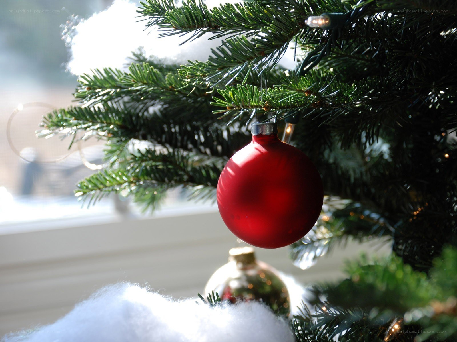 Red ornament on Christmas tree